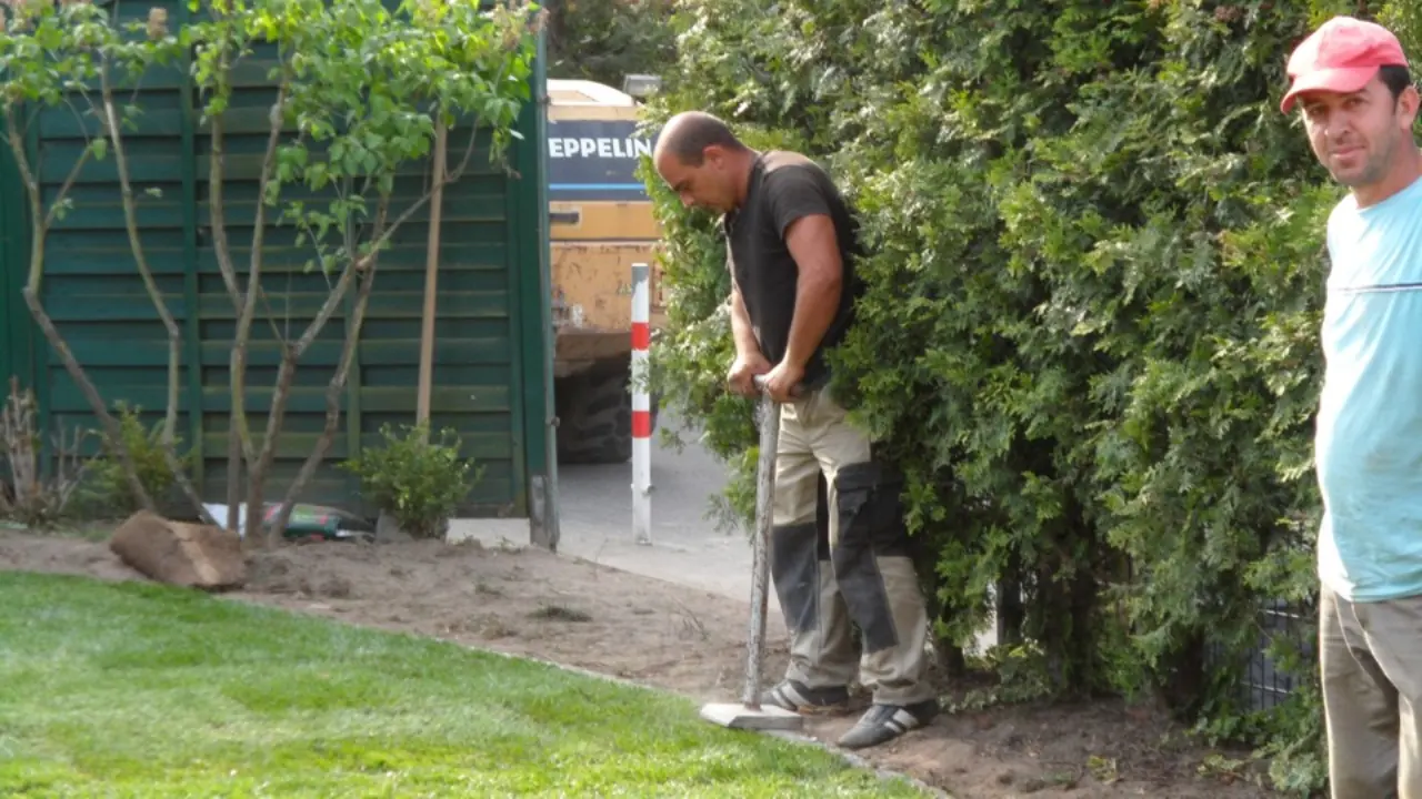 Zwei Mitarbeiter beim Rückschnitt einer hohen Hecke
